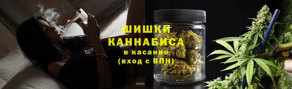 трава Заводоуковск