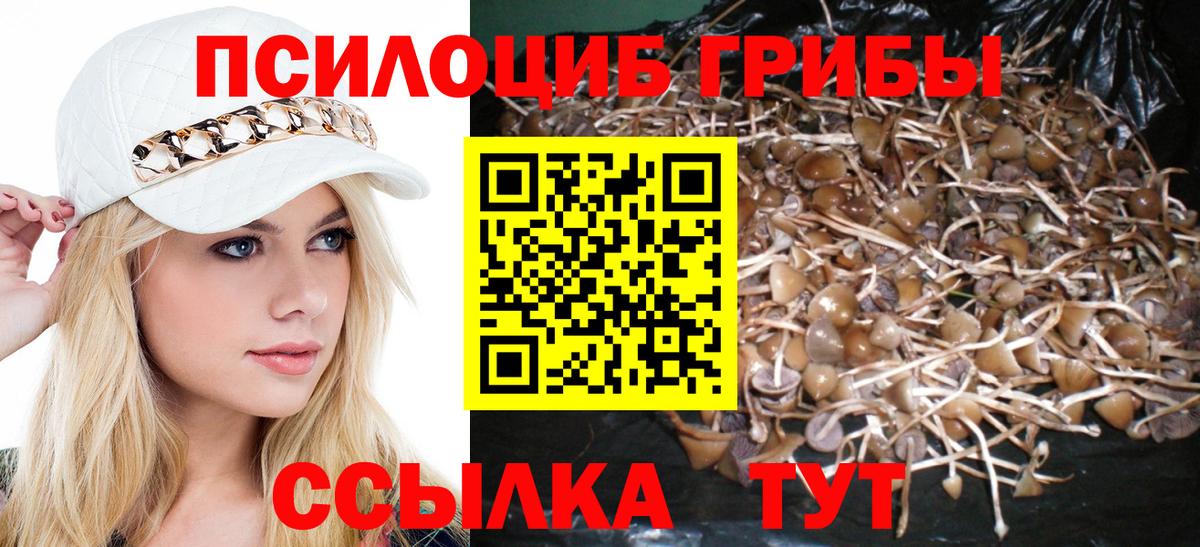 Псилоцибиновые грибы MAGIC MUSHROOMS  Белогорск 