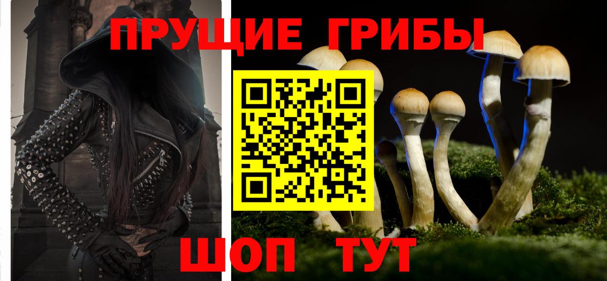 Белогорск  Псилоцибиновые грибы мицелий  Вход с VPN 