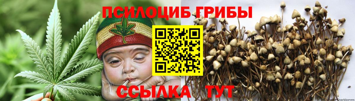 Псилоцибиновые грибы GOLDEN TEACHER Белогорск