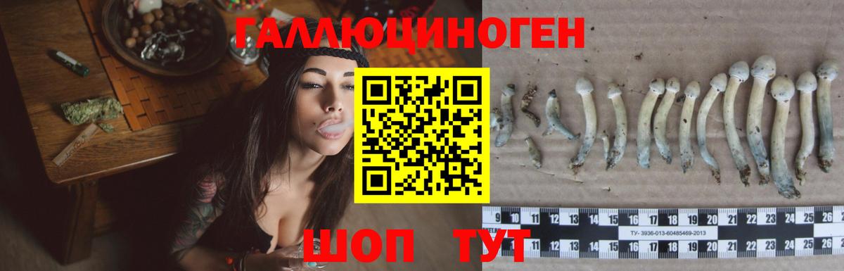 Псилоцибиновые грибы мицелий Белогорск